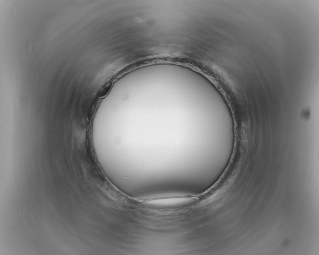X0000089901257200707262243