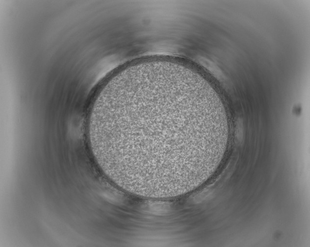 X0000089901258200707262243