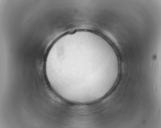 X0000089901260200707262243