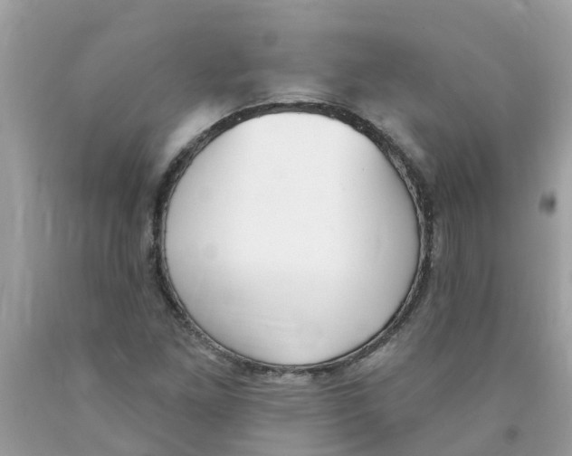 X0000089901261200707262243
