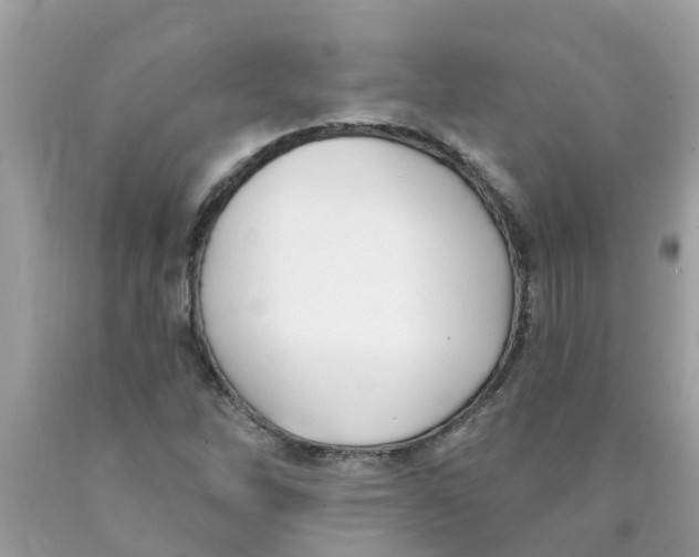 X0000089901262200707262243