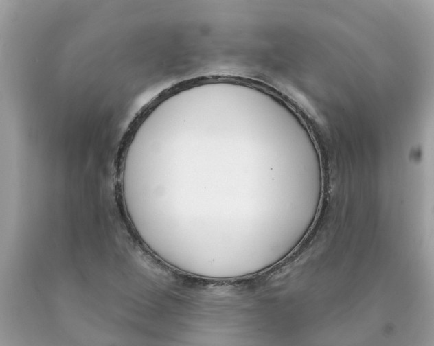 X0000089901264200707262243