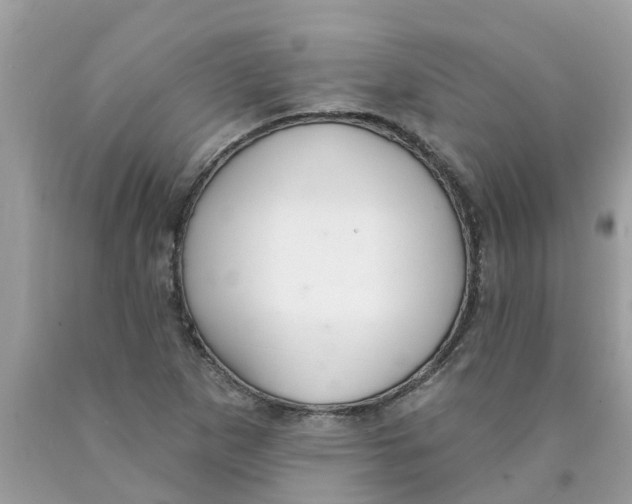 X0000089901265200707262243
