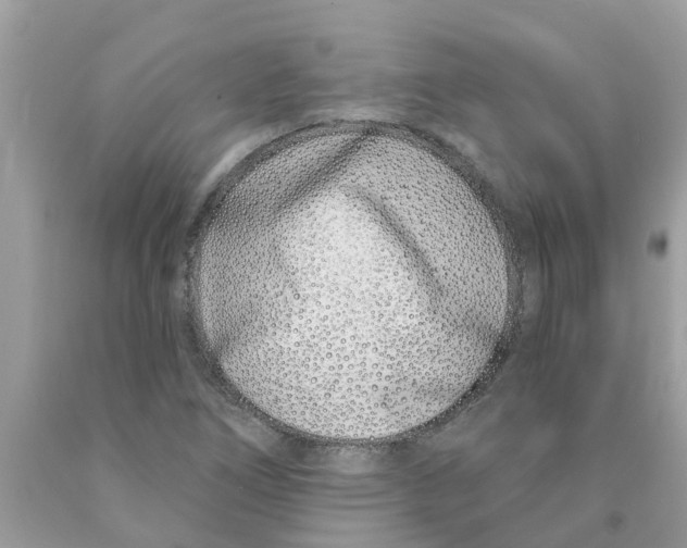X0000089901266200707262243