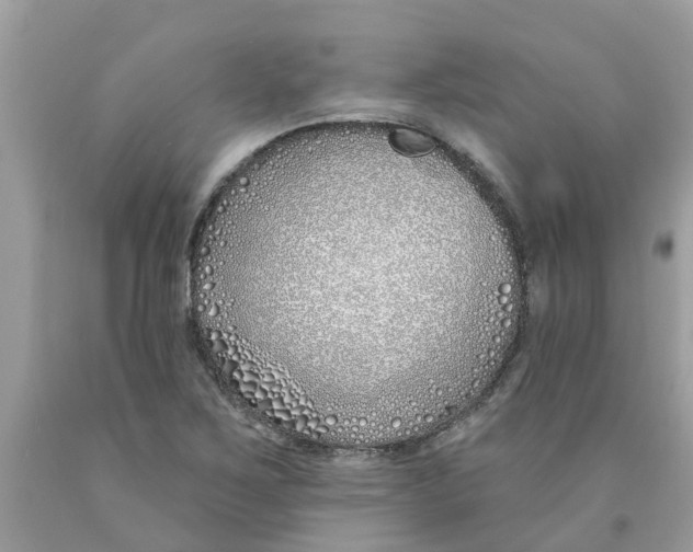 X0000089901267200707262243