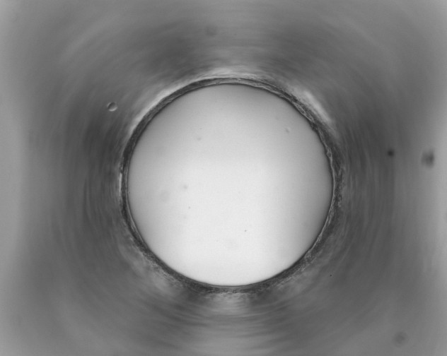 X0000089901268200707262243
