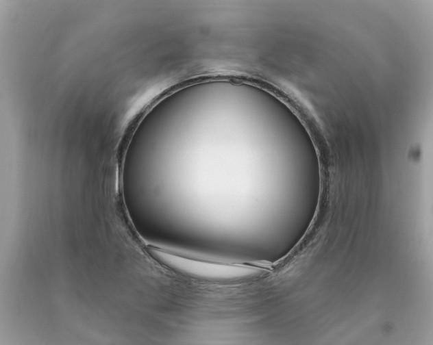 X0000089901269200707262243