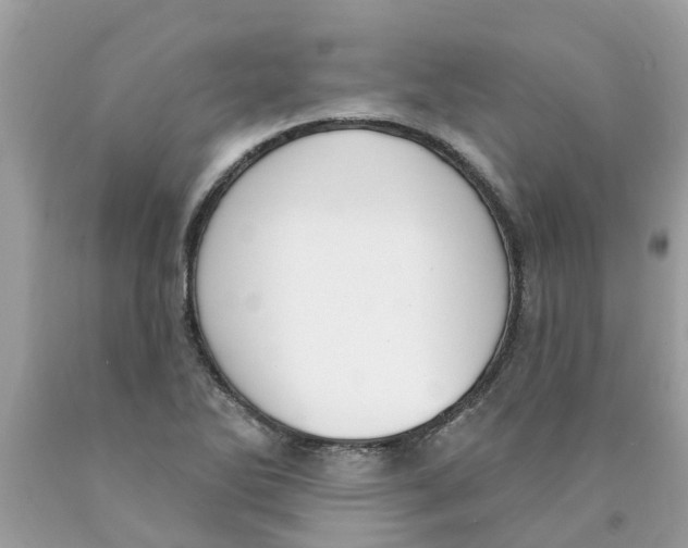 X0000089901270200707262243