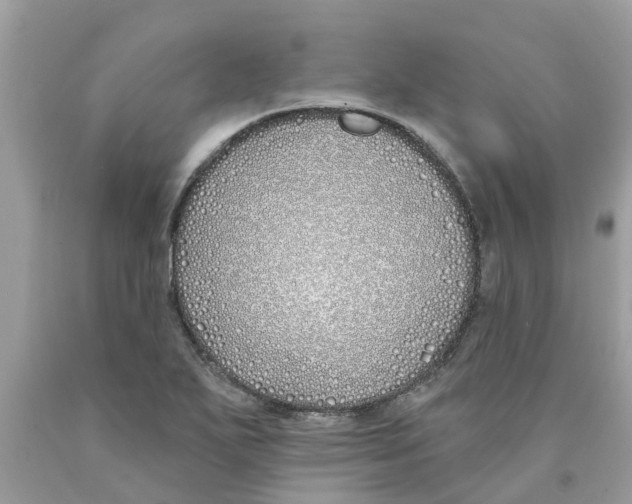 X0000089901271200707262243