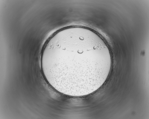 X0000089901272200707262243