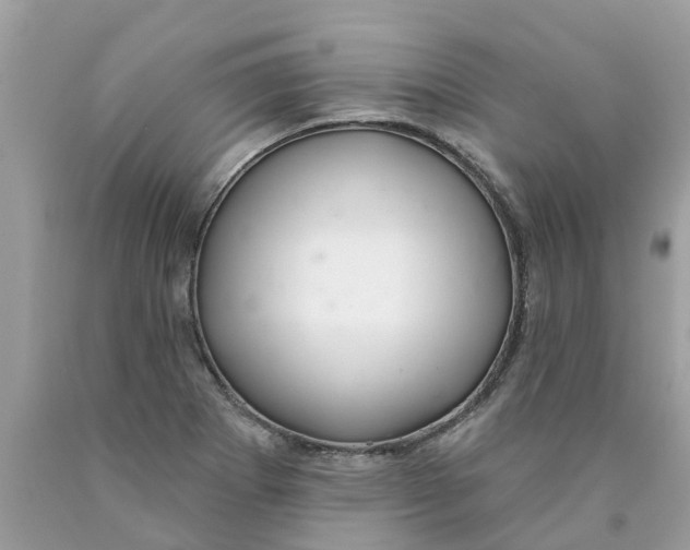 X0000089901273200707262243