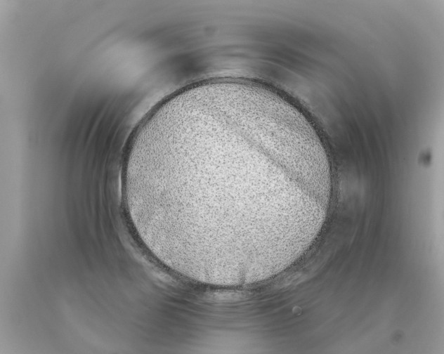 X0000089901274200707262243