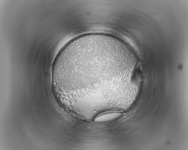 X0000089901275200707262243