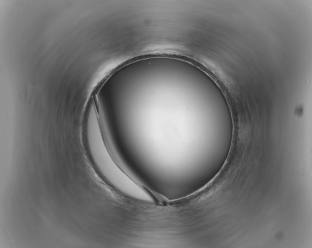 X0000089901277200707262243