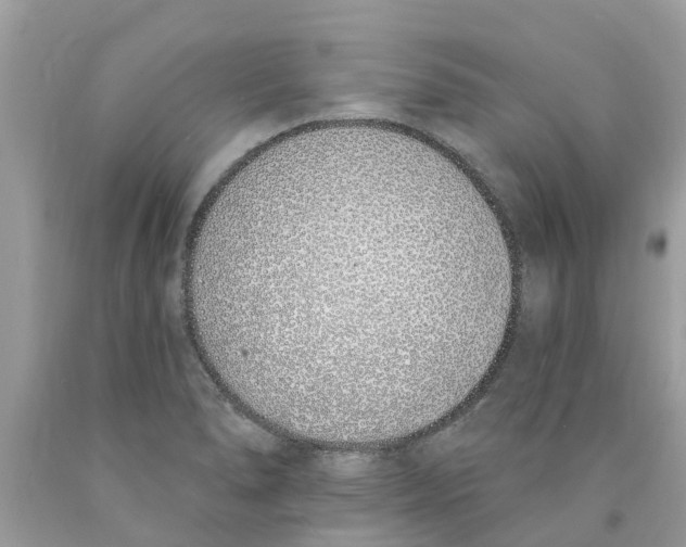 X0000089901278200707262243