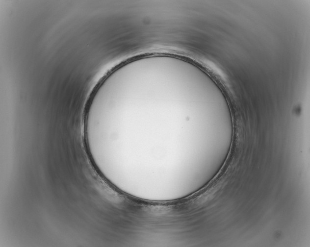X0000089901280200707262243