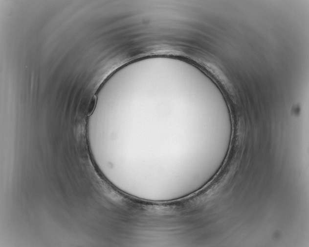 X0000089901281200707262243