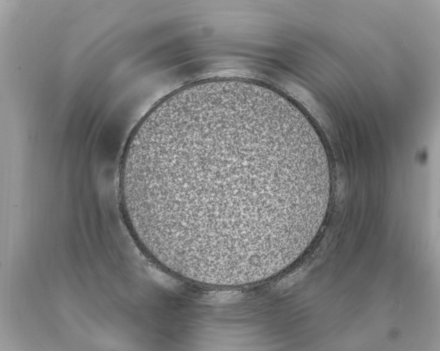 X0000089901282200707262243