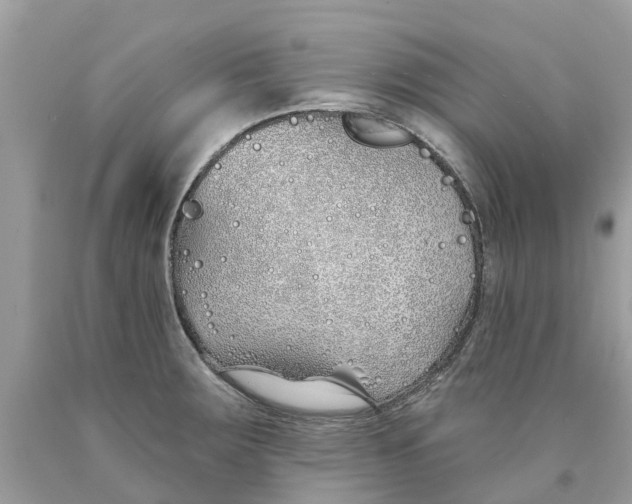 X0000089901283200707262243