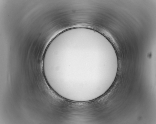 X0000089901284200707262243