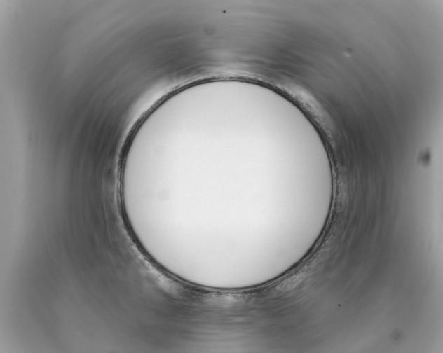 X0000089901286200707262243