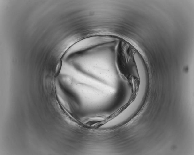 X0000089901289200707262243