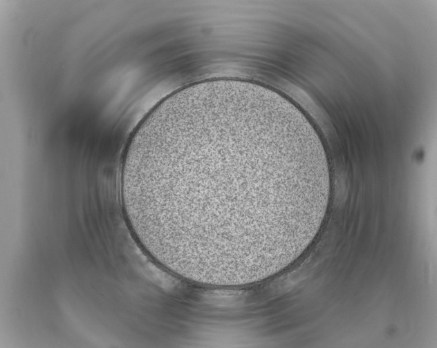 X0000089901290200707262243