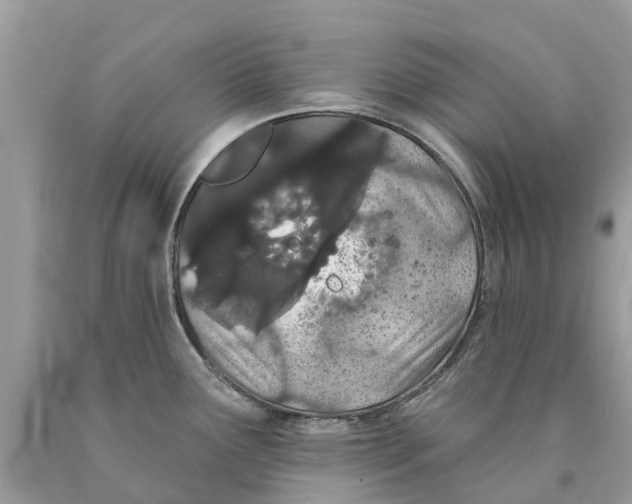 X0000089901291200707262243