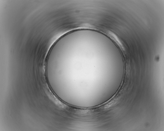 X0000089901292200707262243