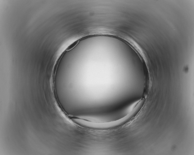 X0000089901293200707262243
