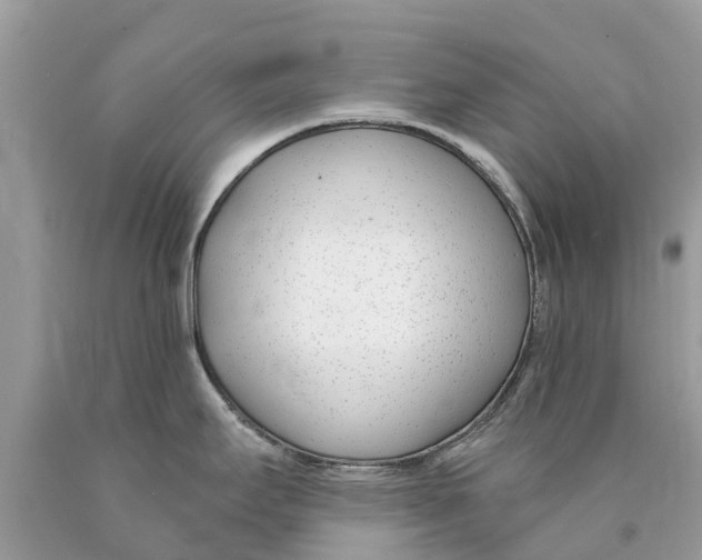 X0000089901295200707262243