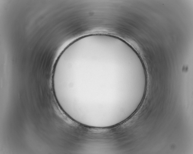 X0000089901296200707262243