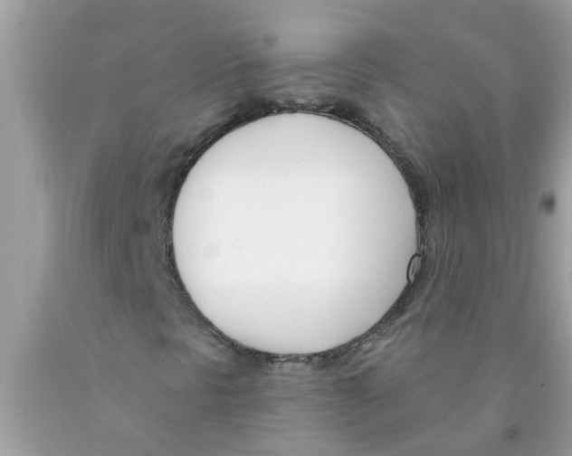 X0000089901297200707262242
