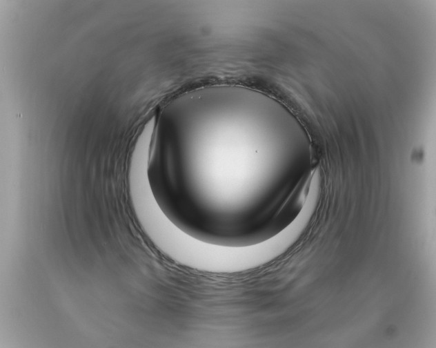 X0000089901298200707262242