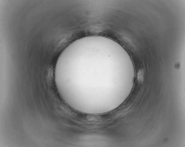 X0000089901299200707262242