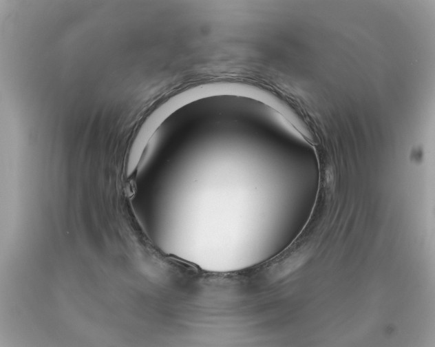 X0000089901300200707262242
