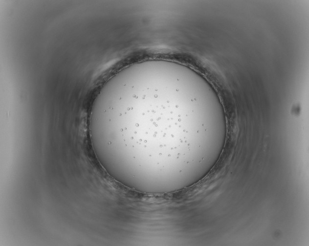 X0000089901301200707262242