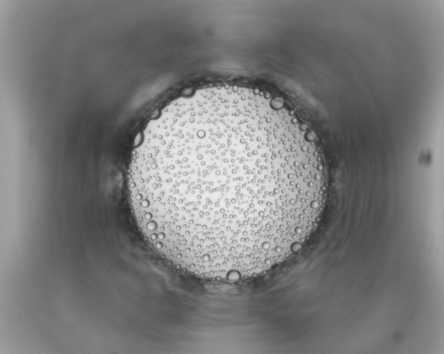 X0000089901302200707262242