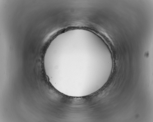 X0000089901304200707262242