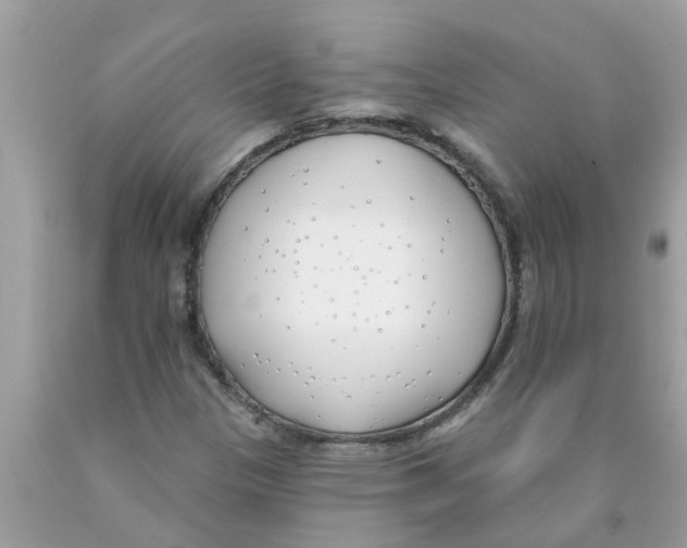 X0000089901305200707262242