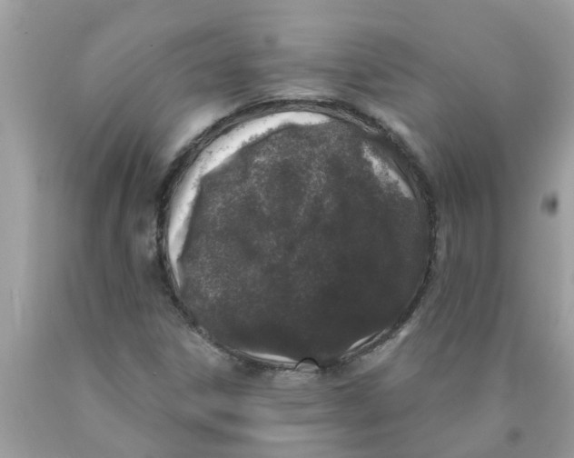 X0000089901306200707262242