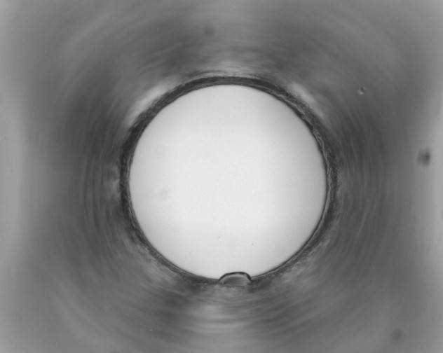 X0000089901307200707262242