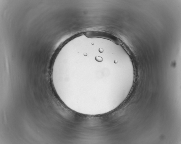 X0000089901308200707262242