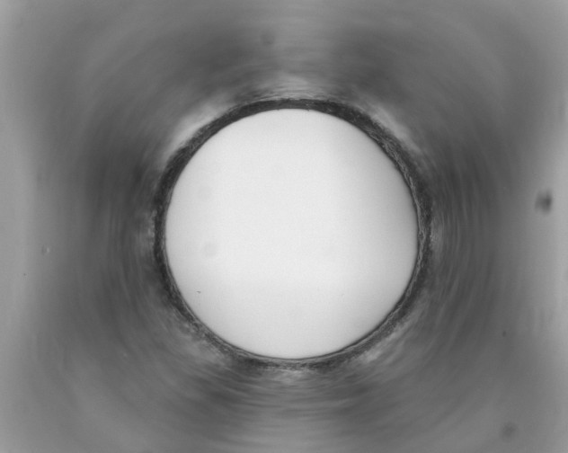 X0000089901309200707262242
