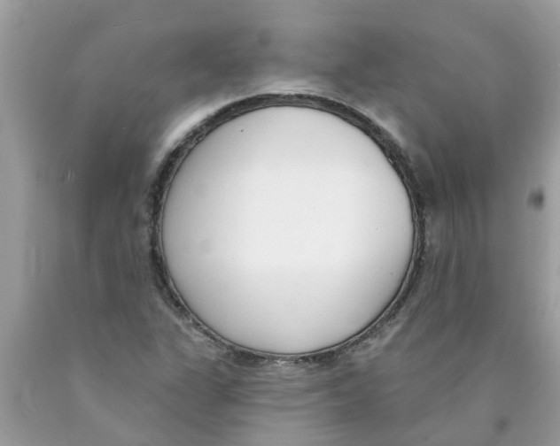 X0000089901311200707262242