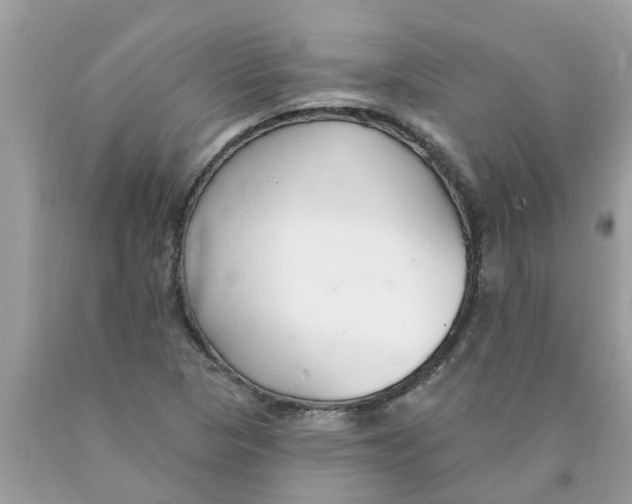 X0000089901313200707262242