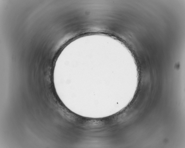 X0000089901314200707262242