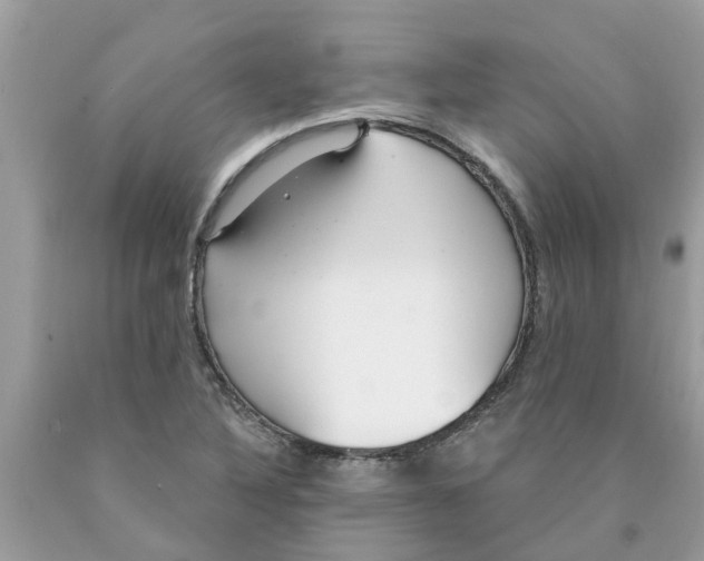 X0000089901316200707262243