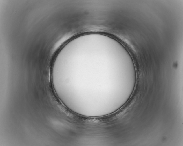 X0000089901317200707262243