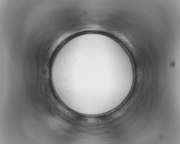 X0000089901318200707262243